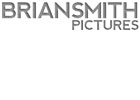 Brainsmith图片标志
